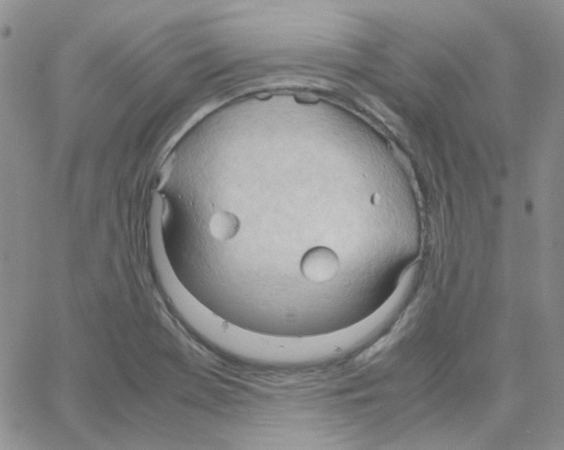 X0000064751369200603131333