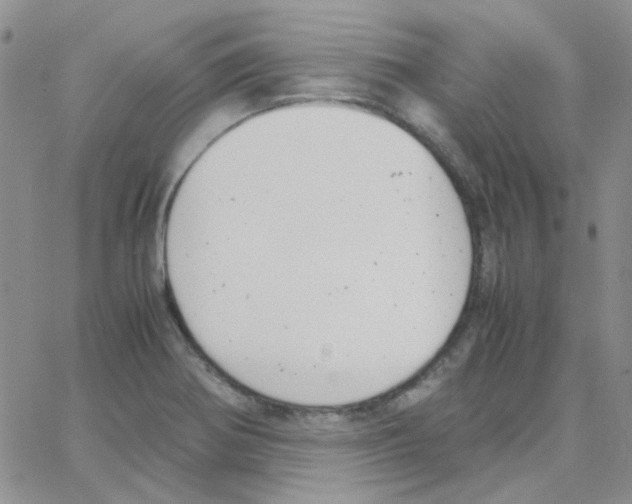 X0000064751370200603131333