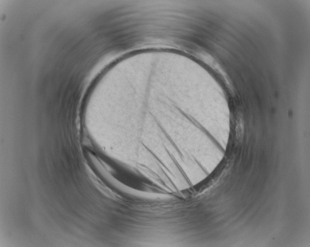 X0000064751372200603131333