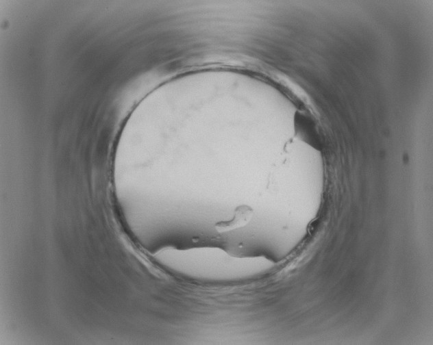 X0000064751373200603131333