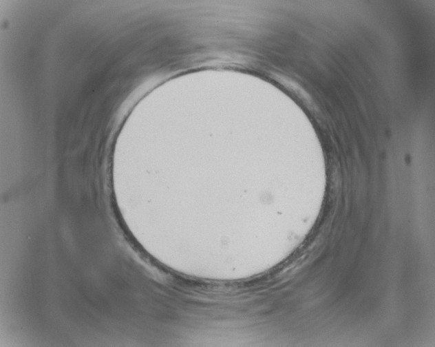 X0000064751375200603131333