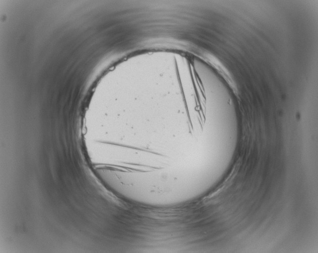 X0000064751376200603131333