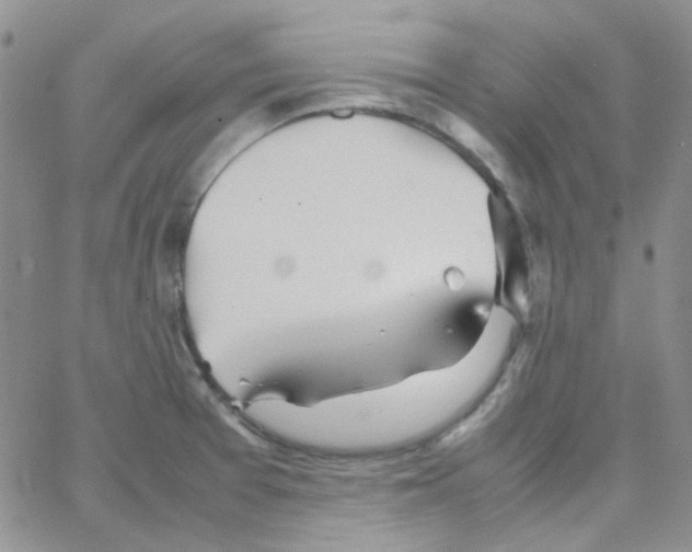 X0000064751377200603131333