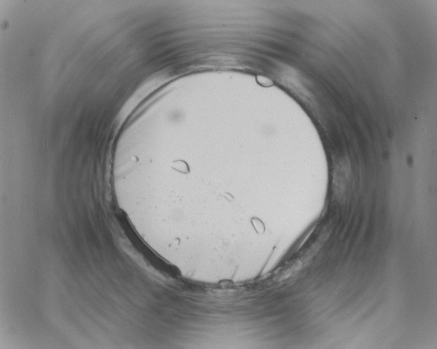 X0000064751378200603131333