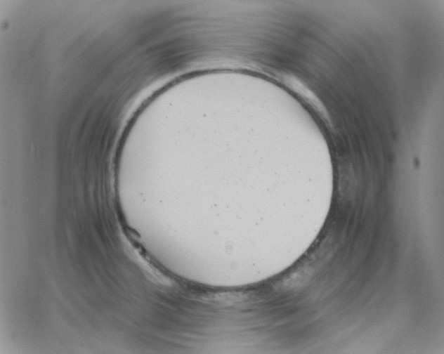 X0000064751380200603131333