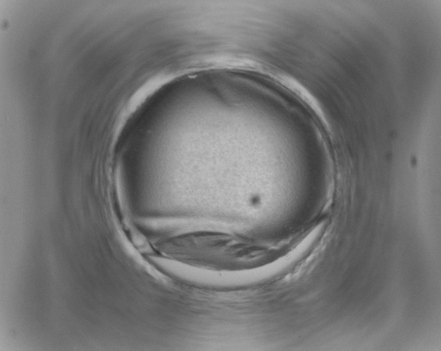 X0000064751381200603131333