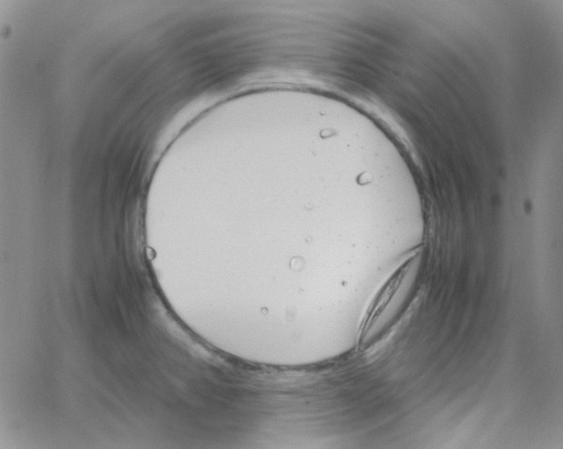 X0000064751382200603131333