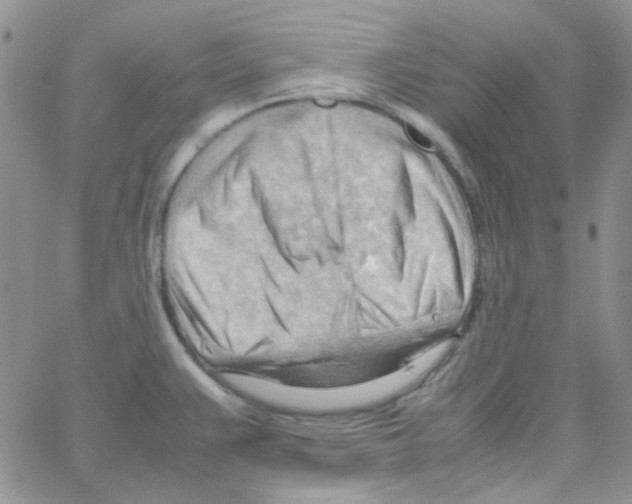 X0000064751383200603131333