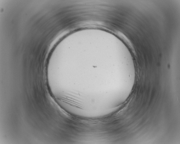 X0000064751384200603131333