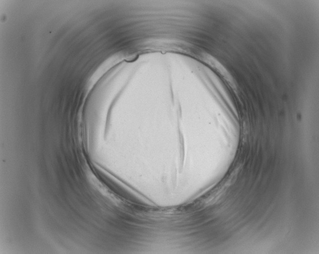 X0000064751386200603131332