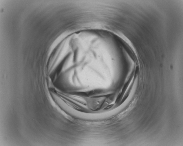 X0000064751389200603131332