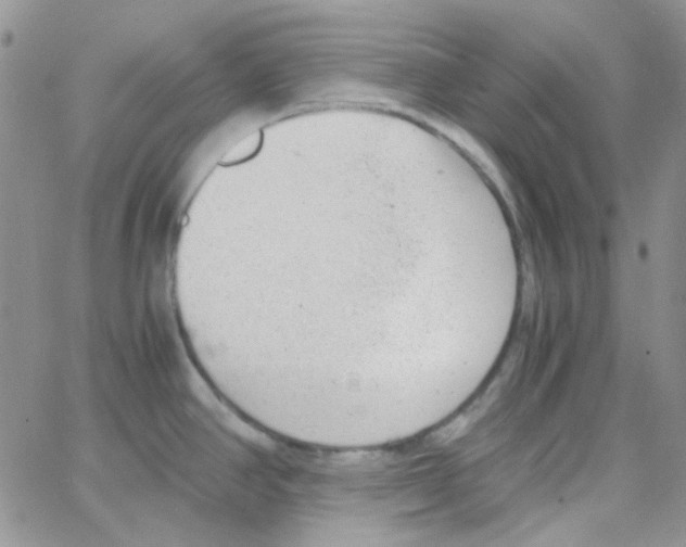 X0000064751390200603131332