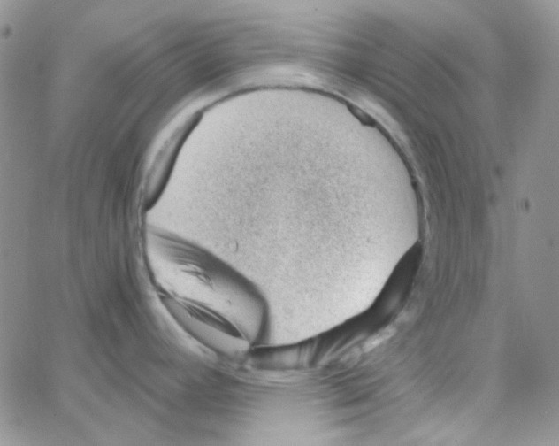 X0000064751392200603131332