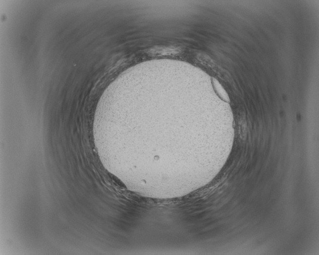 X0000064751393200603131332