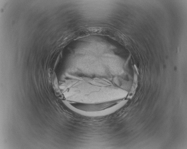 X0000064751394200603131332