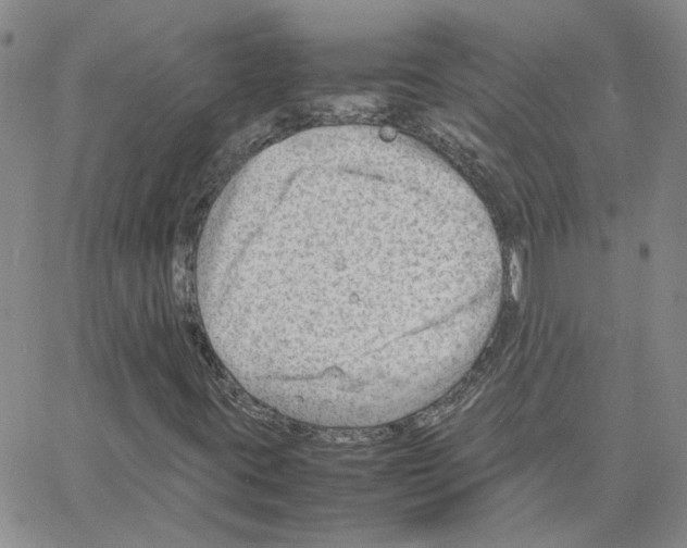 X0000064751395200603131332