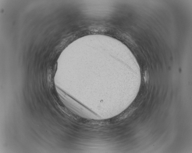 X0000064751396200603131332