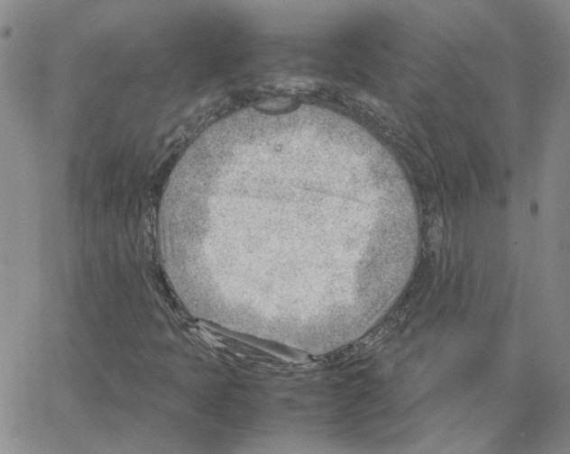 X0000064751397200603131332