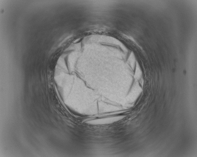 X0000064751399200603131332