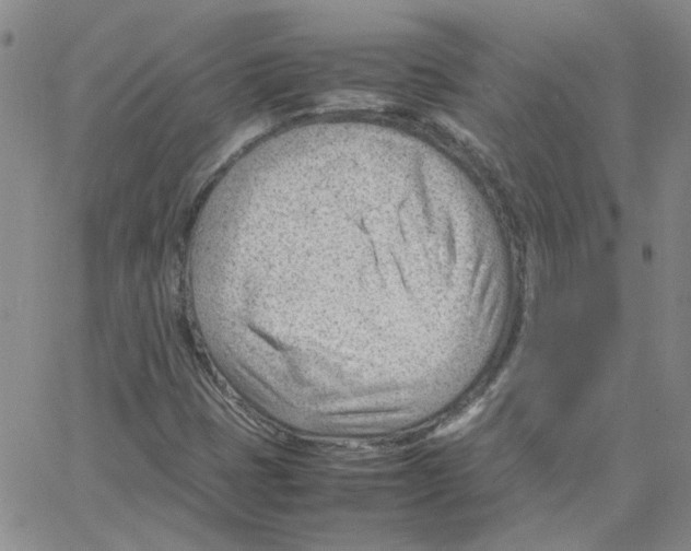 X0000064751401200603131332