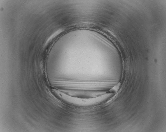 X0000064751402200603131332