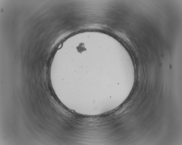 X0000064751404200603131332