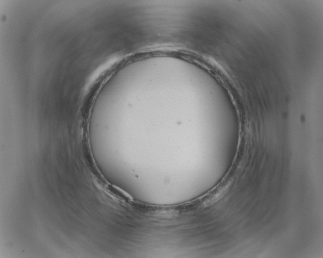 X0000064751406200603131332