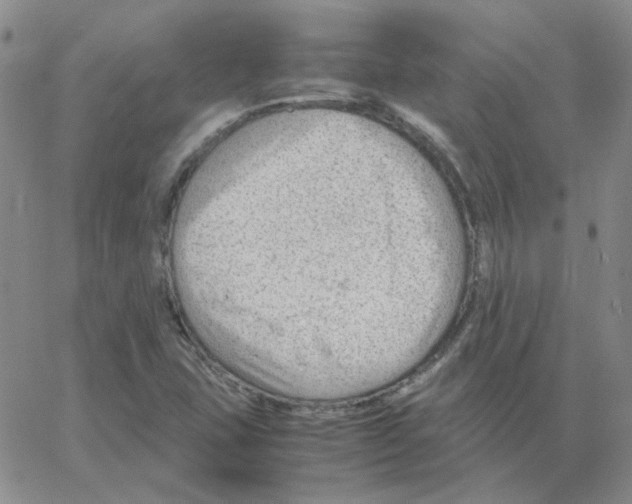 X0000064751407200603131332