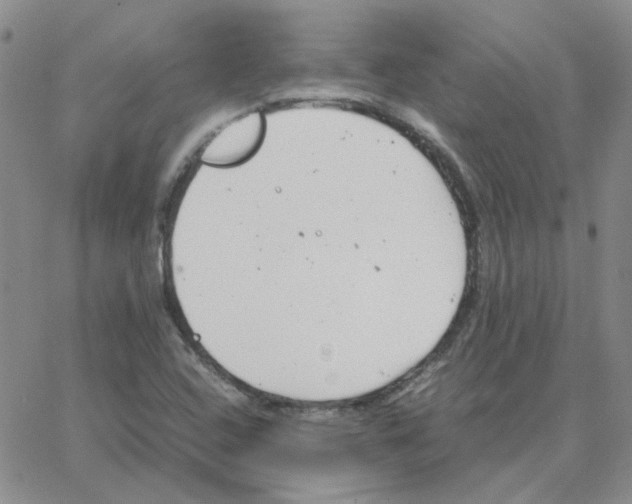 X0000064751408200603131332