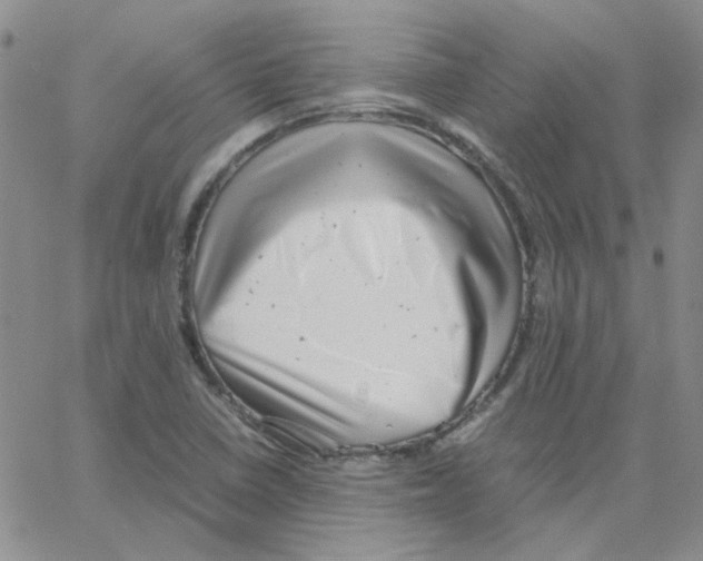 X0000064751410200603131332