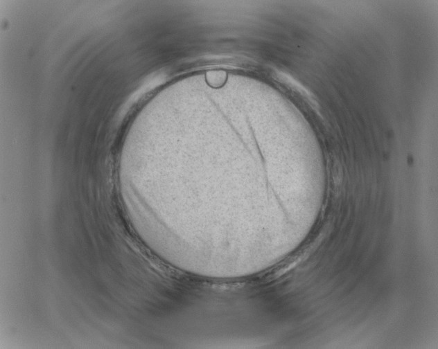 X0000064751411200603131332