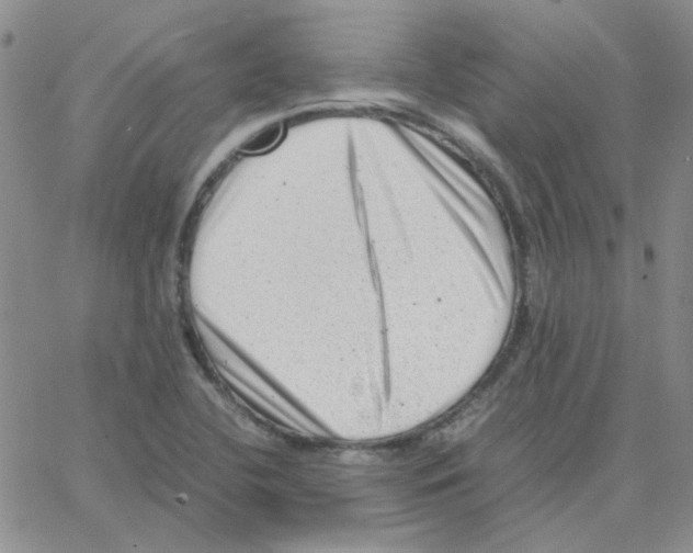 X0000064751412200603131332