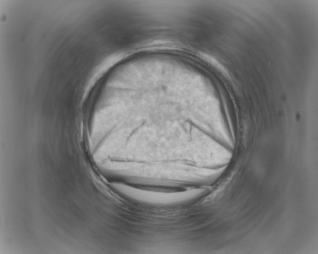 X0000064751413200603131332