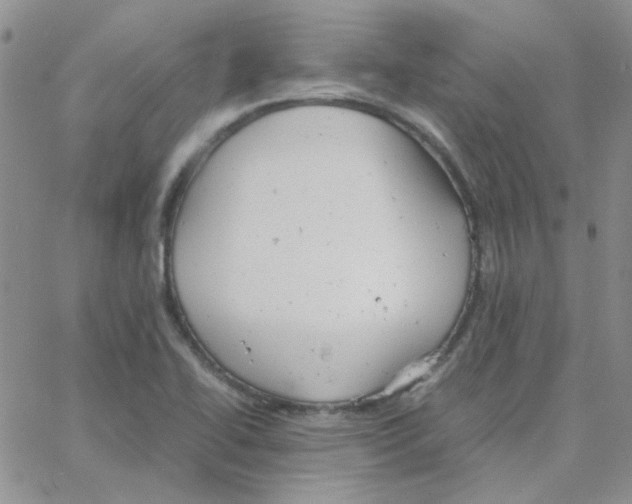 X0000064751414200603131332