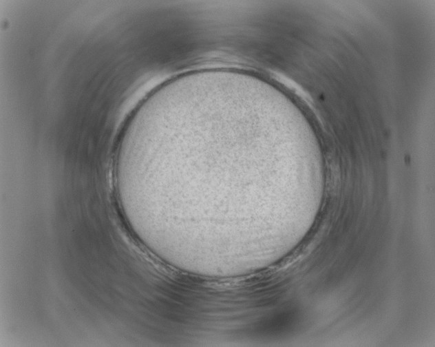 X0000064751415200603131332