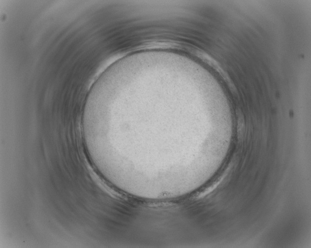 X0000064751417200603131332