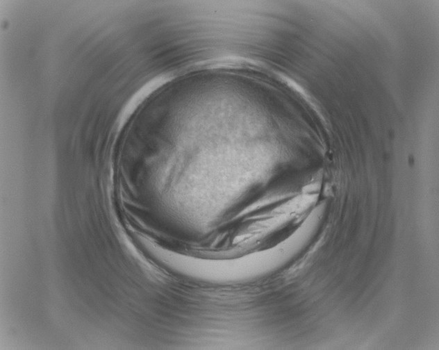 X0000064751418200603131332