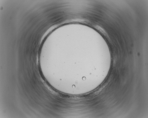 X0000064751420200603131332