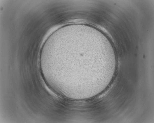 X0000064751421200603131332