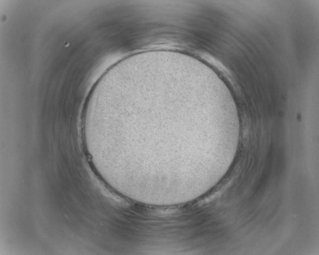 X0000064751423200603131332