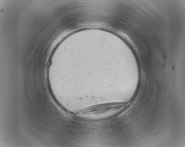 X0000064751424200603131332