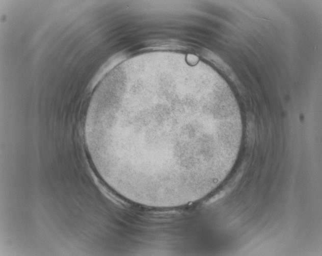 X0000064751425200603131332