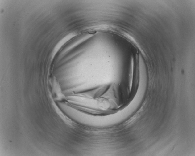 X0000064751426200603131332