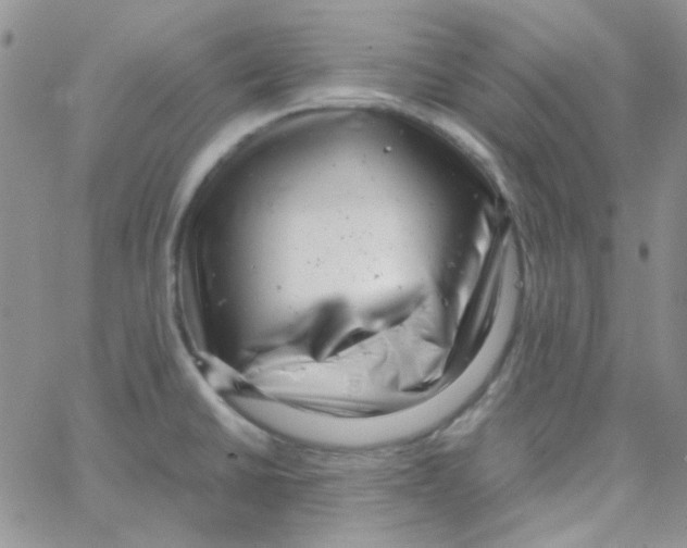 X0000064751430200603131332