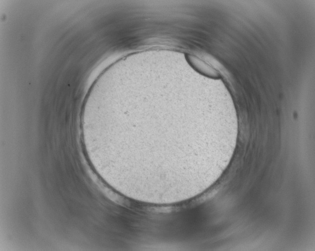 X0000064751431200603131332