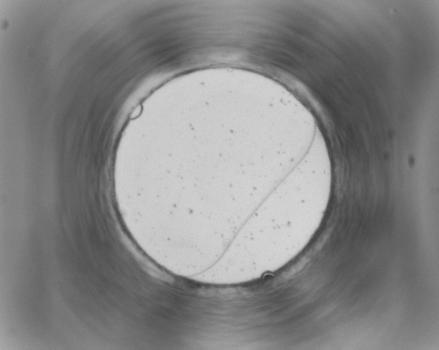 X0000064751432200603131332