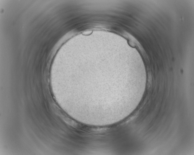 X0000064751435200603131332