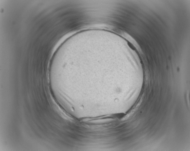 X0000064751436200603131332