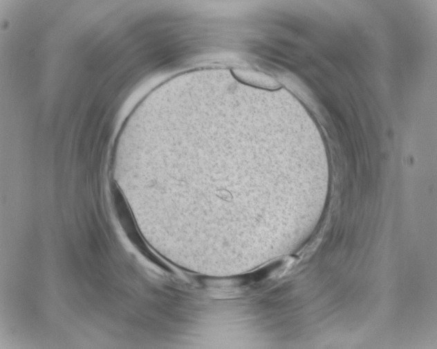 X0000064751440200603131332