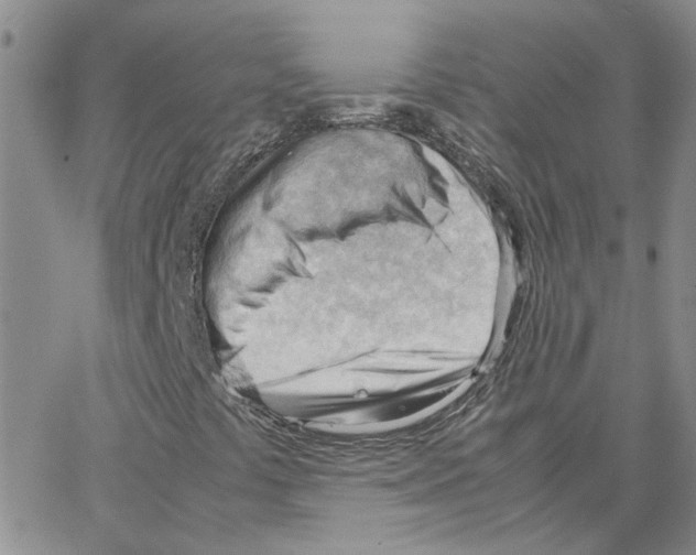 X0000064751441200603131332